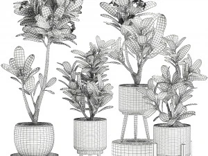 collection of plants 32 pieces 3D Model