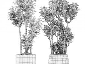 collection of plants 32 pieces 3D Model