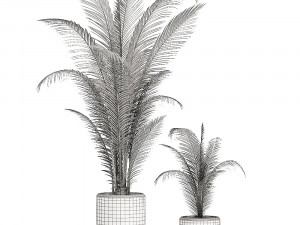 collection of plants 32 pieces 3D 模型
