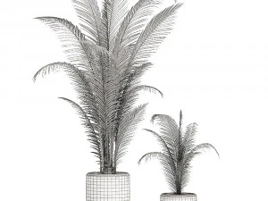 collection of plants 32 pieces 3D Model