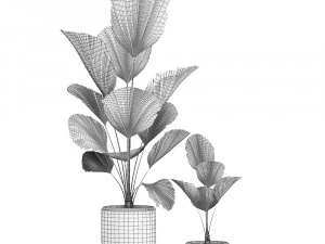 collection of plants 32 pieces 3D Model