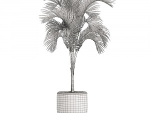 collection of plants 32 pieces 3D 模型