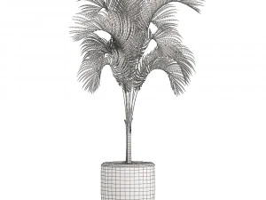 collection of plants 32 pieces 3D Model