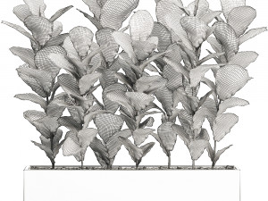 collection of plants 32 pieces 3D 模型
