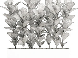 collection of plants 32 pieces 3D Model