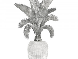 collection of plants 32 pieces 3D 模型