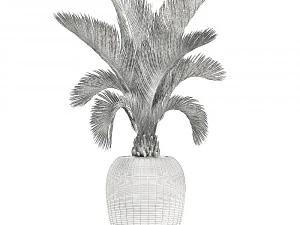 collection of plants 32 pieces 3D Model
