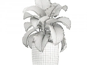 collection of plants 32 pieces 3D Model