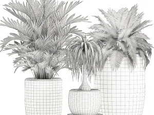 collection of plants 32 pieces 3D Model