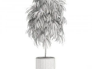 collection of plants 32 pieces 3D Model