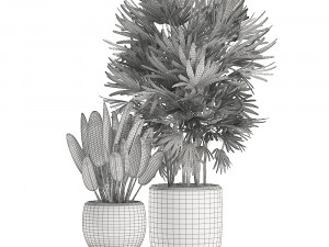 collection of plants 32 pieces 3D 模型