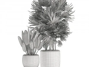 collection of plants 32 pieces 3D Model