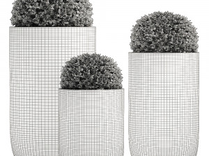 collection of plants 32 pieces 3D 模型