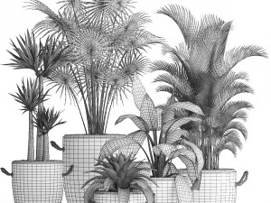 collection of plants 32 pieces 3D Model