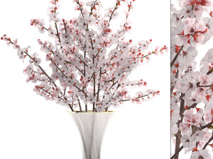 collection of bouquets 30 pieces 3D मॉडल