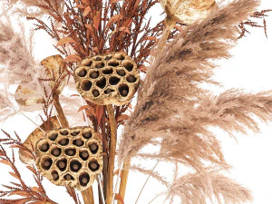 bouquet of dried flowers in a glass vase 157 3D Model