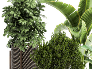 ornamental plants in rattan baskets 1036 Modello 3D