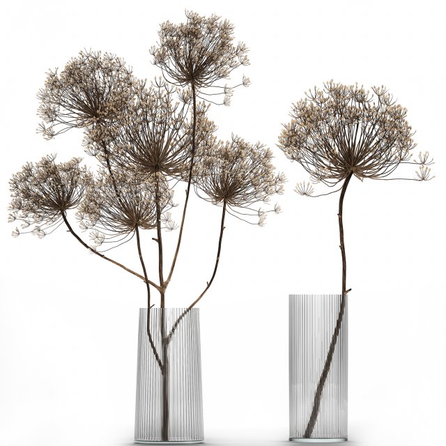 bouquet of dried flowers in a glass vase 158 Model 3D .c4d .max .obj .3ds .fbx .stl .blend 