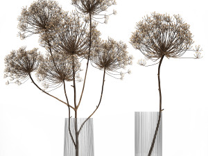 bouquet of dried flowers in a glass vase 158 3D 모델
