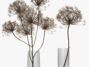 bouquet of dried flowers in a glass vase 158 Model 3D