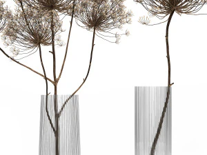 bouquet of dried flowers in a glass vase 158 3D Model