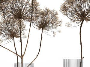 bouquet of dried flowers in a glass vase 158 Model 3D