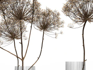 bouquet of dried flowers in a glass vase 158 3D Model