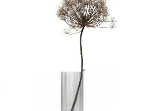 bouquet of dried flowers in a glass vase 158 3D Model