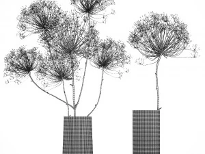 bouquet of dried flowers in a glass vase 158 3D Model