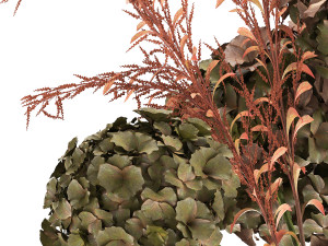 bouquet of dried flowers in a vase 162 3D 모델