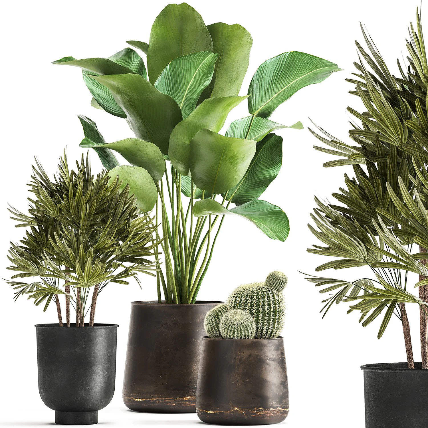 banana palm in a rust pot for the interior 1038 3D Model .c4d .max .obj .3ds .fbx .stl .blend