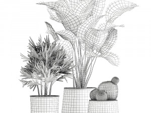 banana palm in a rust pot for the interior 1038 Model 3D