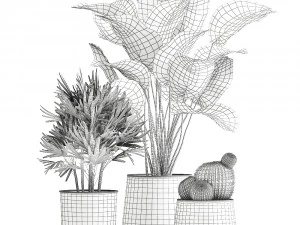banana palm in a rust pot for the interior 1038 3D Model