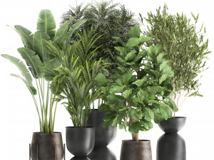 bananeira em vaso enferrujado para interior 1039 Modelo 3D