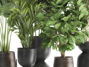 banana palm in a rust pot for the interior 1039 Modello 3D