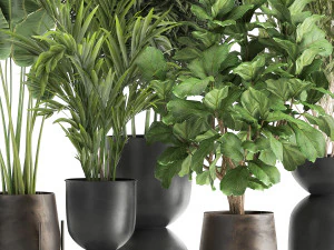 bananeira em vaso enferrujado para interior 1039 Modelo 3D