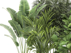 bananeira em vaso enferrujado para interior 1039 Modelo 3D