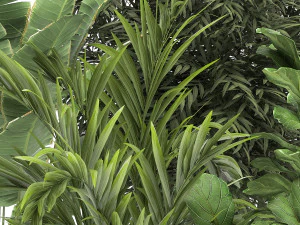 bananeira em vaso enferrujado para interior 1039 Modelo 3D