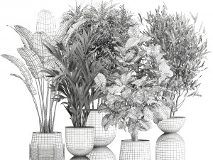 banana palm in a rust pot for the interior 1039 Modello 3D