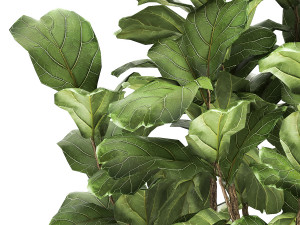 ficus lyrata in a rust pot for the interior 1040 3D-Modell
