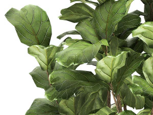 ficus lyrata in a rust pot for the interior 1040 3D Model