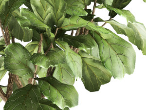 ficus lyrata in a rust pot for the interior 1040 3D-Modell