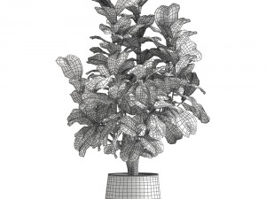 ficus lyrata in a rust pot for the interior 1040 3D-Modell