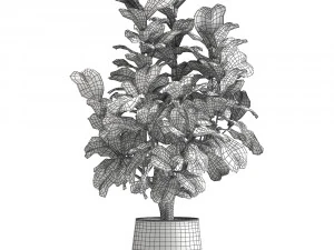 ficus lyrata in a rust pot for the interior 1040 3D Model