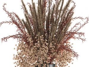 bouquet of dried flowers in a vase 164 3D Model