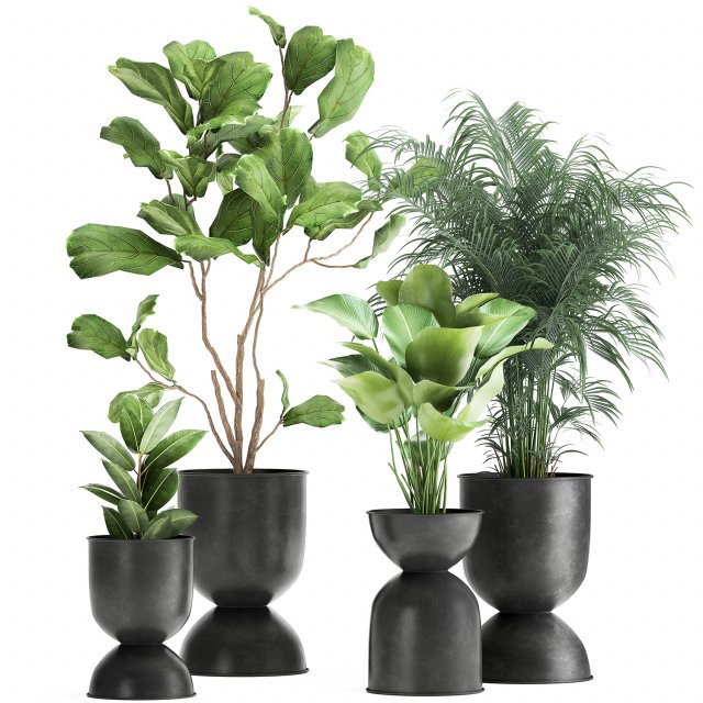plants in a black pot for the interior 1041 3D Модель .c4d .max .obj .3ds .fbx .stl .blend