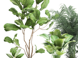 plants in a black pot for the interior 1041 3D Модель