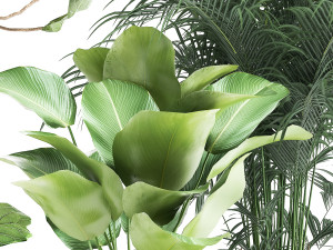 plants in a black pot for the interior 1041 3D Модель