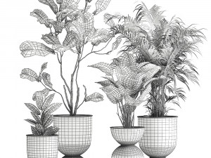 plants in a black pot for the interior 1041 3D Модель