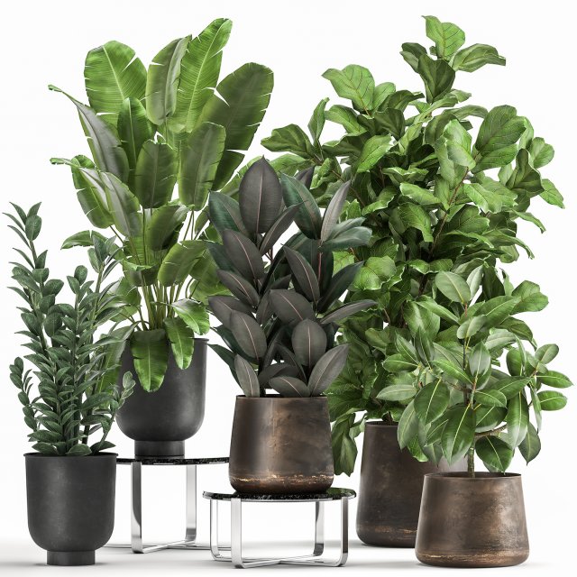 plants in a rusty flowerpot for the interior 1042 3Dモデル .c4d .max .obj .3ds .fbx .stl .blend 